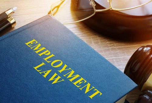5f164113d07484d537a28c1e_employment-law