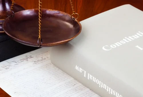 Constitutional-Laws